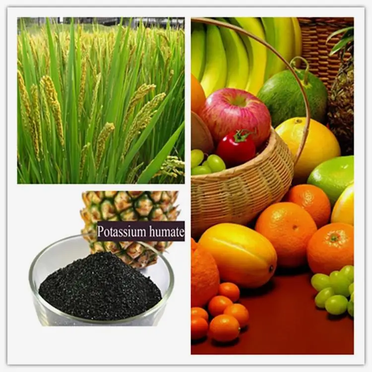 Beacon 68514-28-3 Potassium Humate Fertilizer of Potassium Fertilizer Like High Fertiliser Rich Organic Potash k for St