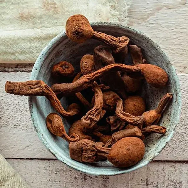Pure Extract Huanarpo Macho Powder From Leading Supplier With OEM Services
