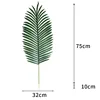 Areca palm-dark color-large leaves