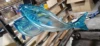 bluefish