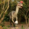 Oviraptor