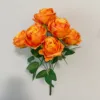 สีส้ม