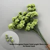 Fiore verde di Chongcao