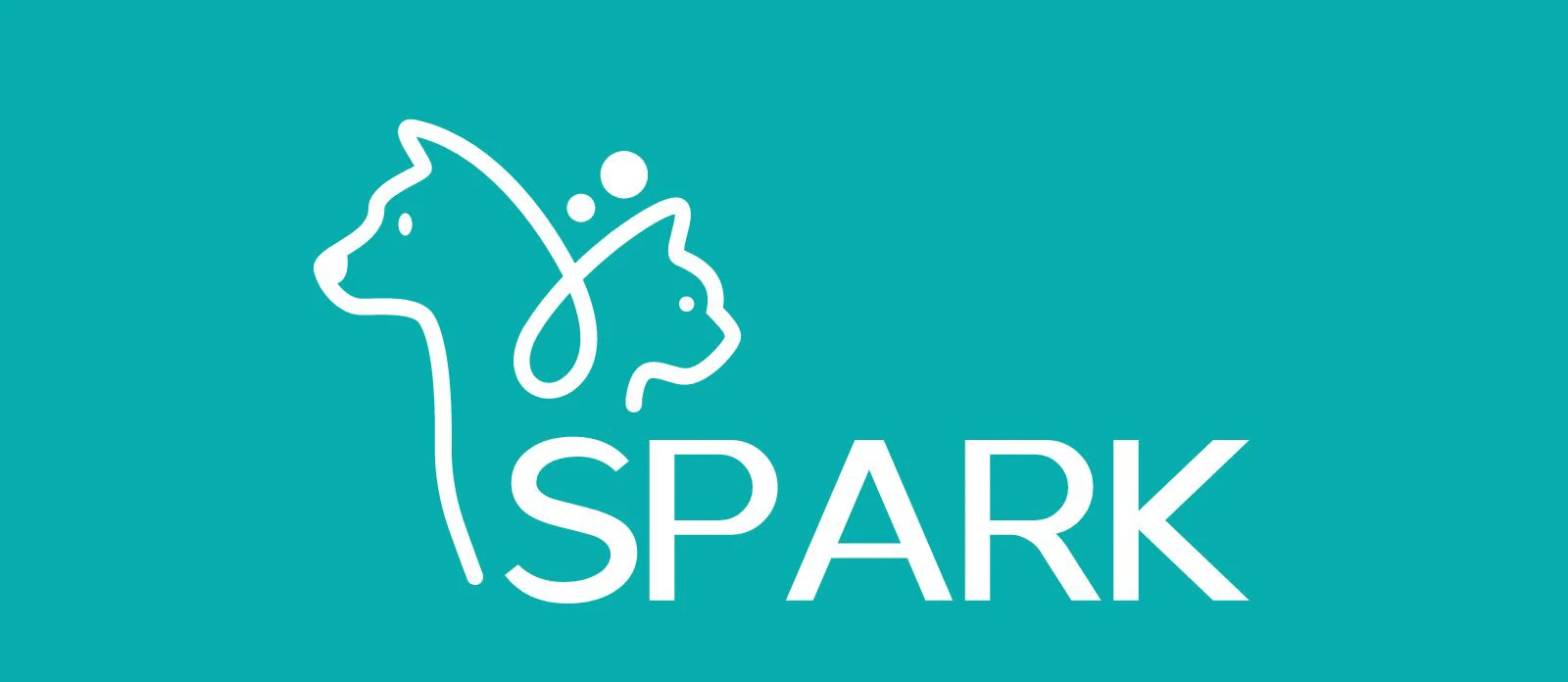 Smart Quick Self Cleaning Big Cat Toilet Automatic App Remote Control