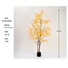 [Hot Selling] Yellow Multi-Stem Miniature Maple Tree 210cm