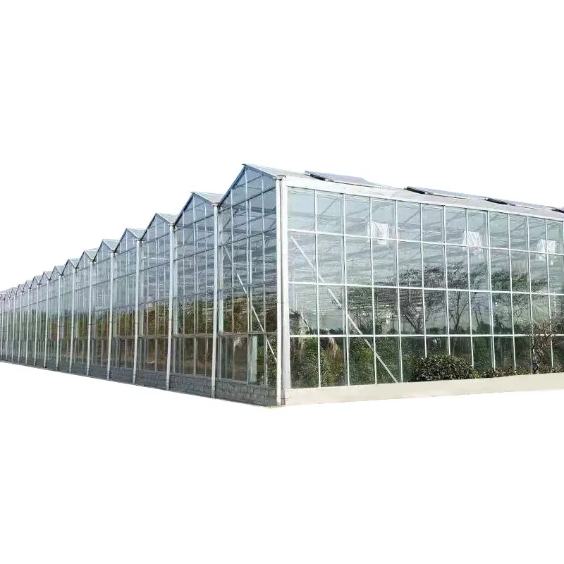 Commercial Agricultural Greenhouse Garden Hydroponic Cover Glass with Durable Metal Frame Multi-Span Green House