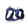 light blue harness