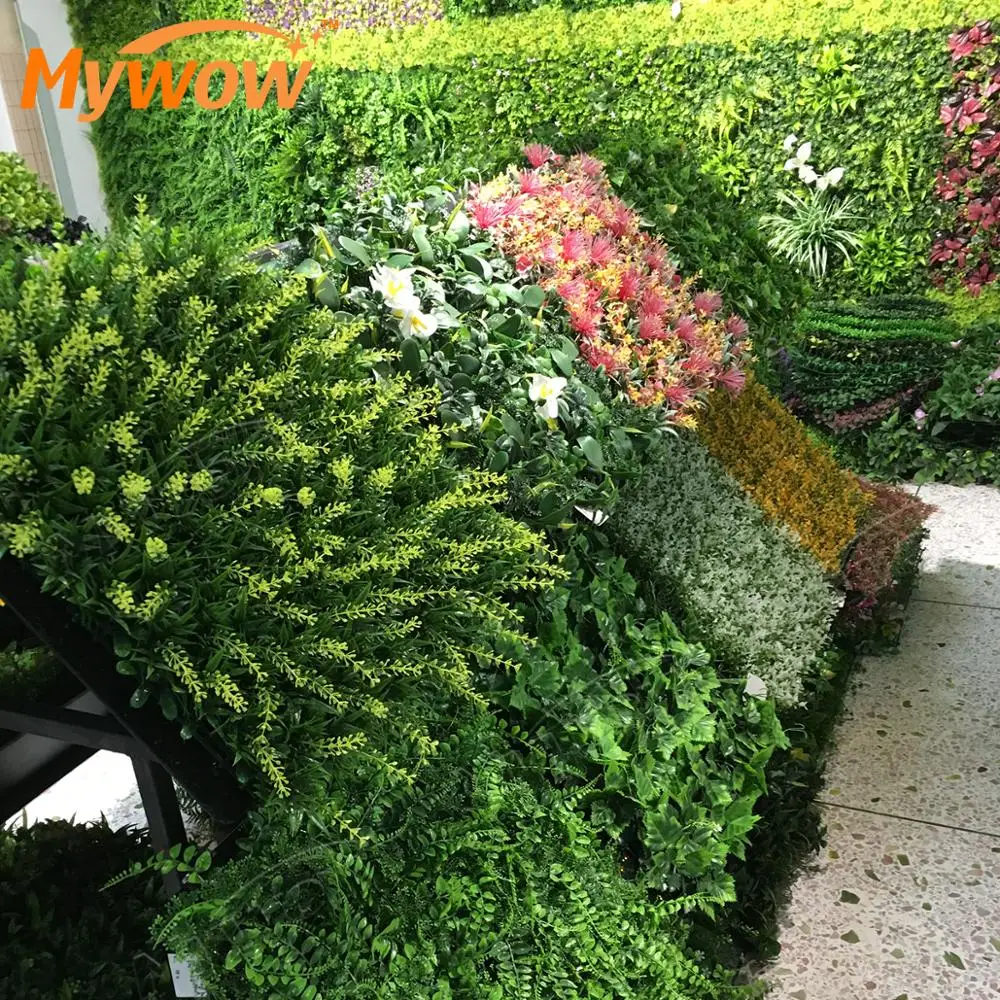 palmen pflanztopf Howea Forsteriana Kentia-Palme 21cm 130cm Pflanztopf kaufen