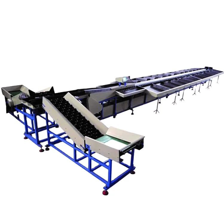 Small Fruit Grading Machine/tomato Grading Machine/cherry Tomato Grading Machine