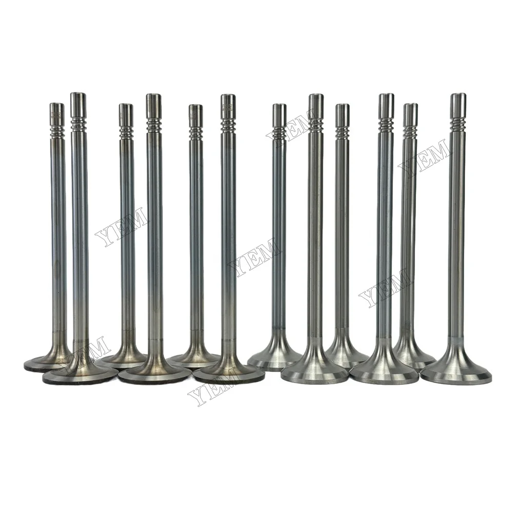 Exhaust Intake Valve Fit for Deutz TCD2013-L06-4V Engine 2