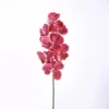 Grande vanda (E27Rose Rouge)