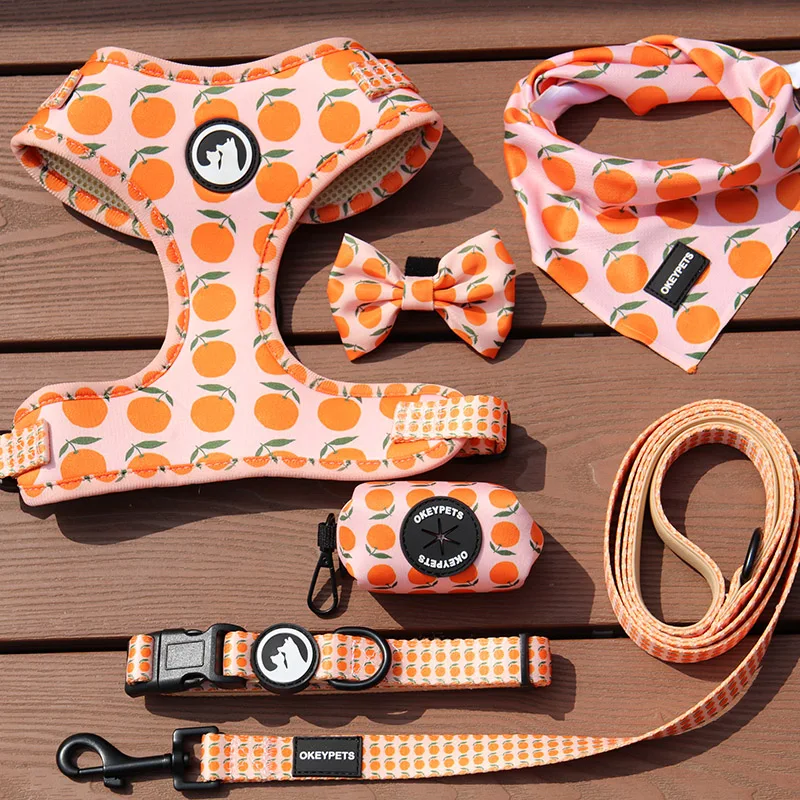 Oem/odm Personalized Pet Accessories Soft Padded Polyester Print