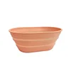 Peach(round shape)