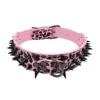 Clavo negro: Pantera Rosa