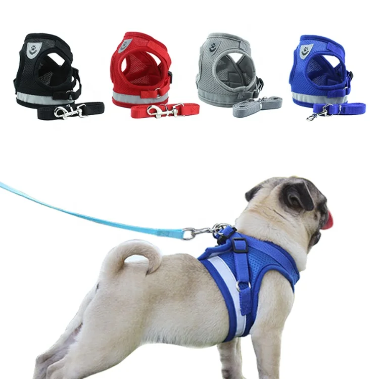dog chest leash