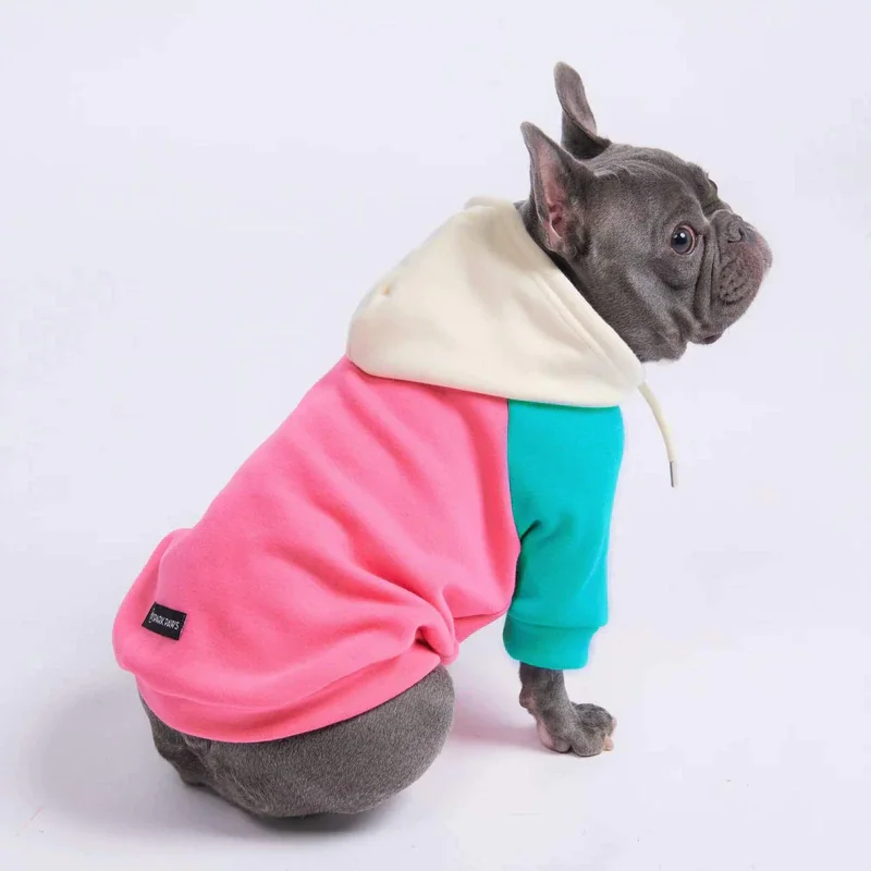 sweater calms dog