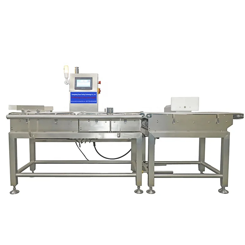 Fix Large Range Dynamic Checkweigher Carton Package Box Multi Check Weigher Weighing Check Machine with Conveyor and Reject
