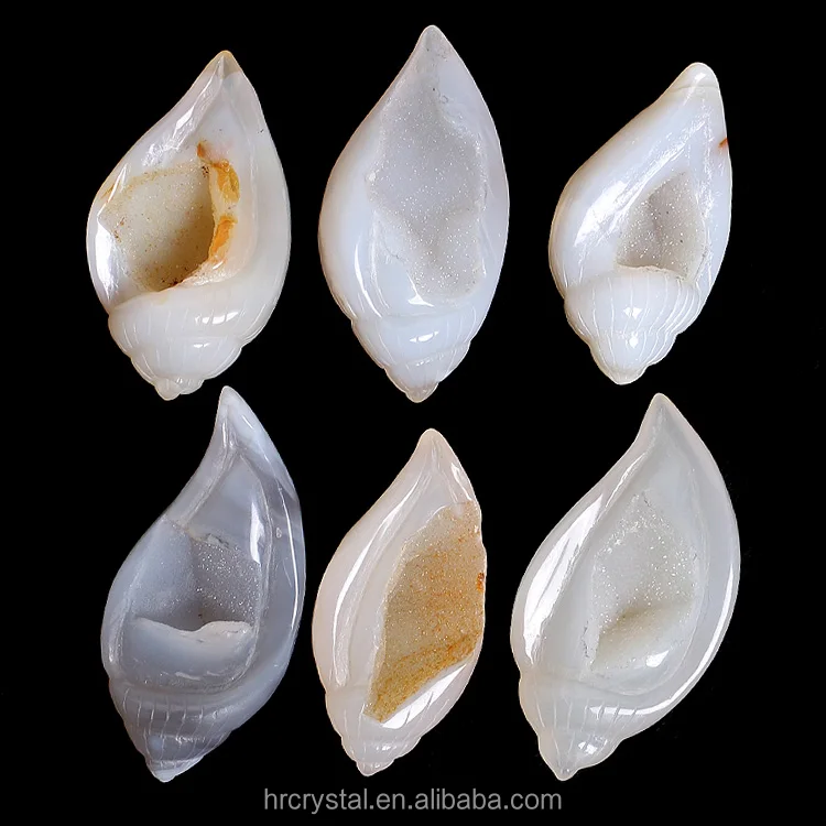 Healing Crystal Conch Shell Druzy Agate Geode Crystal Conch Shell Carving for Decoration