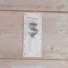 Silver number 5