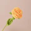 กุหลาบสีเหลือง