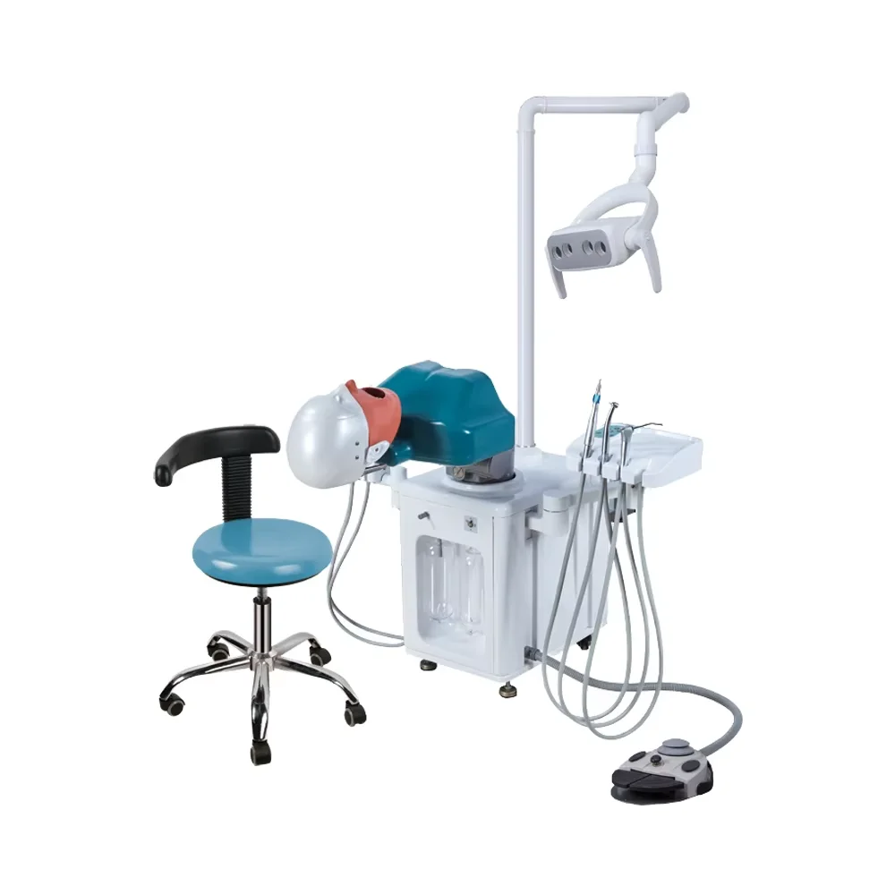 Electric Dental Simulator Unit Head Model for University Teaching Made of Plastic and Metal