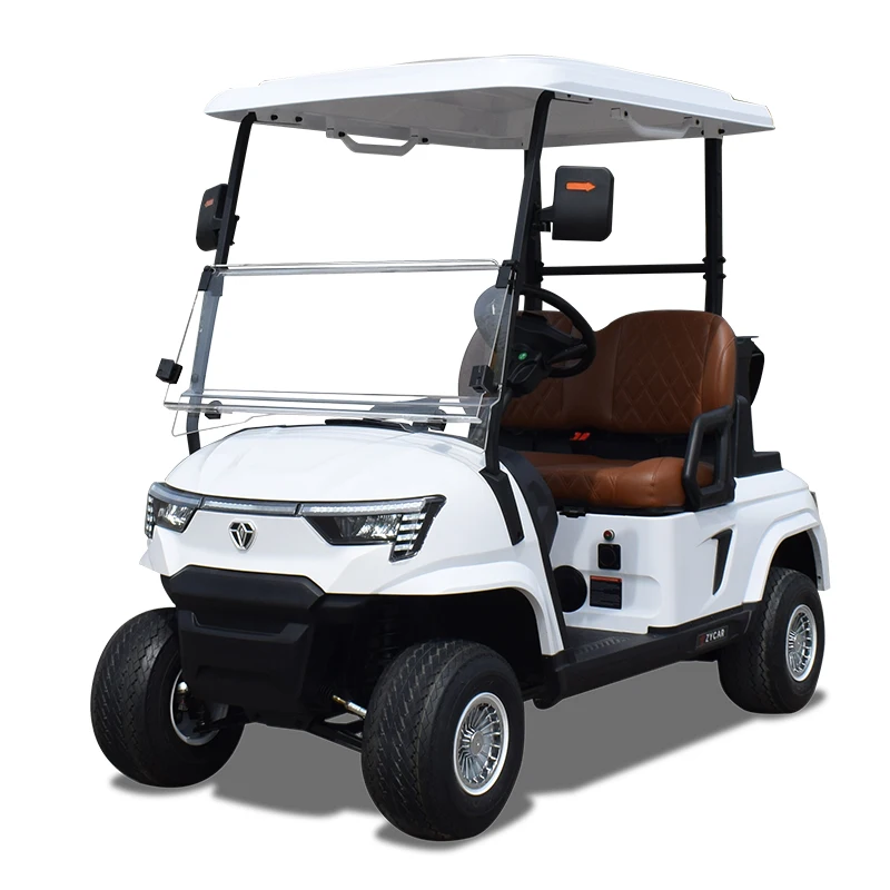 2024 Latest Design Mini Electric Golf Cart Custom 2 Seater Lithium Battery Golf Car
