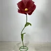สีแดง