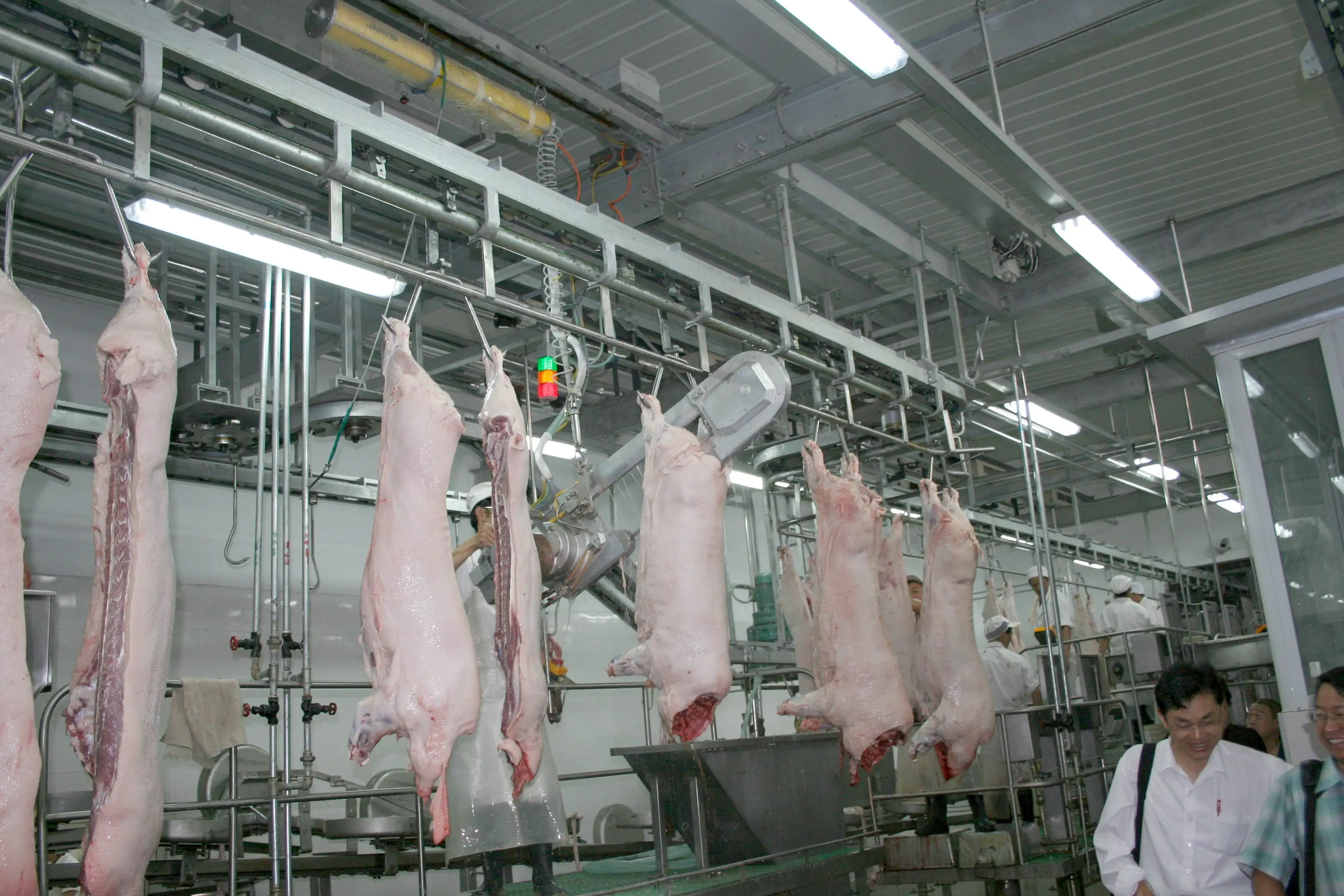 Complete pig slaughterhouse equipment for professional pig slaughtering systems
