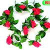 Rosa Roja de Nueve Cabezas