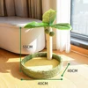 Coconut tree B