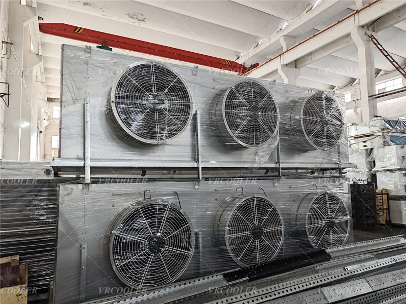 Room Blast Fish Freezer, 220V - detail 24