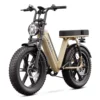 e-bike color kaki (e-bike a 2 posti)