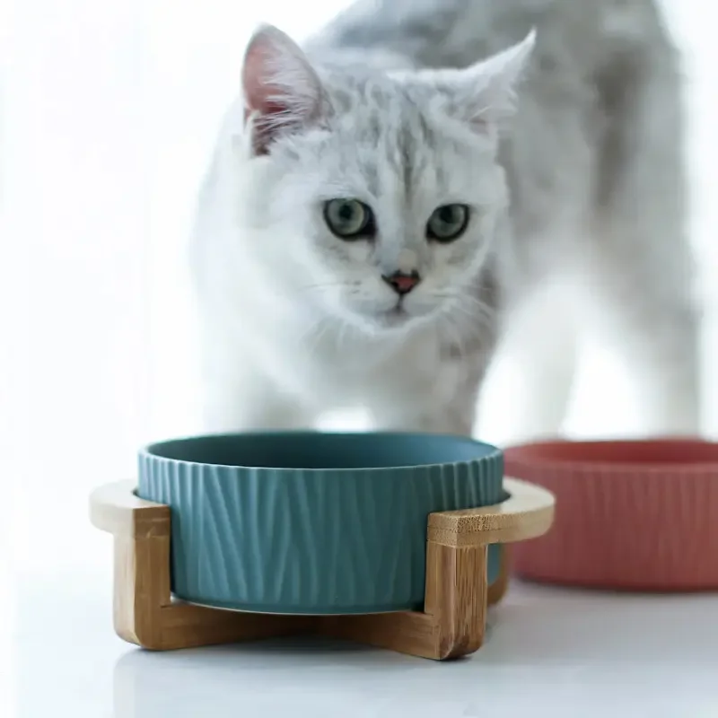 Cat Dog Bowl Dish With Wood Stand No Spill Pet Food Water Feeder Cats ...