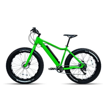 promax electric bike