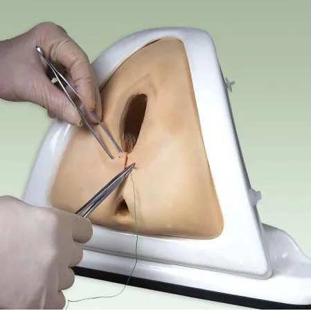 Тренировочная модель Perinealis и перинераффи симулятор эпизотомии