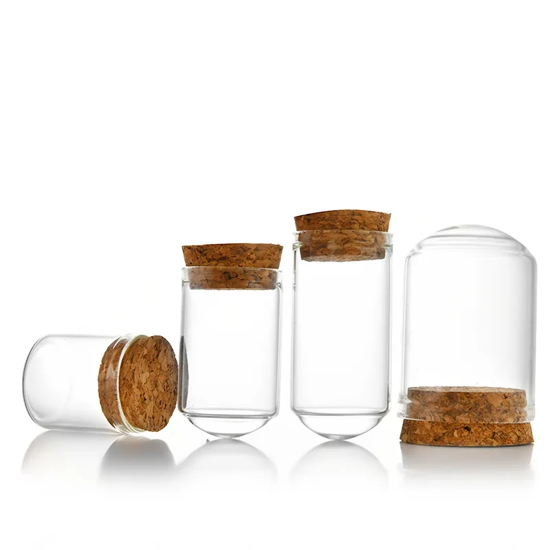 Decorative Small Mini Transparent Display Glass Cloche Dome with Cork Base