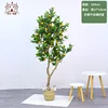 Limón de 180 cm