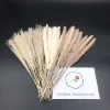 small pampas 45pcs set
