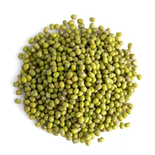 Professional Manufacture Cheap Mung Bean Dry Bulk High Quality Mung Bean for Soup