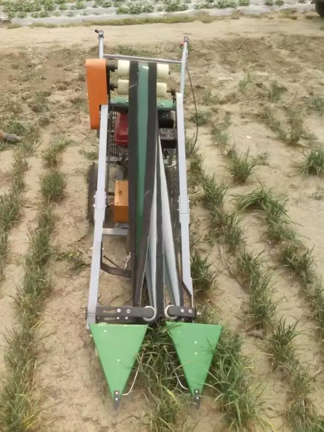 Chinese Cabbage Spinach Harvester Machine /Gasoline Engine Chives Basil Harvester / Harvesing Machine for Coriander on Hot Sale