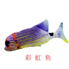 grey-Rainbow fish