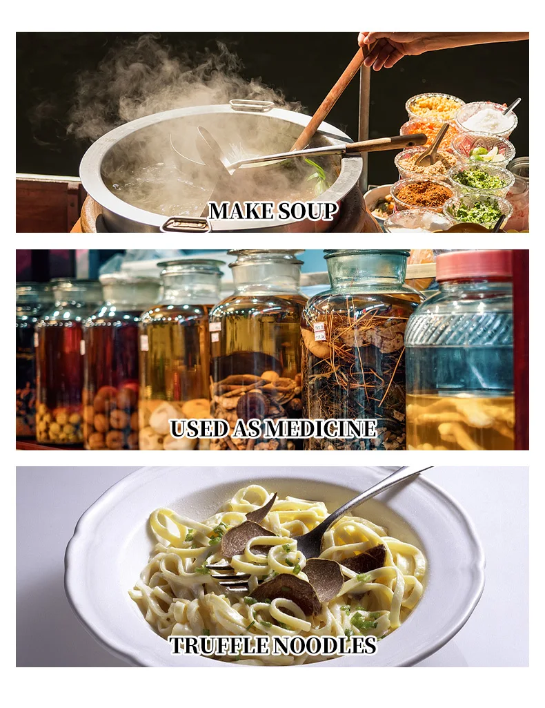 Natural Truffle Mushroom Tuber Magnatum Dried Black Truffle Buy