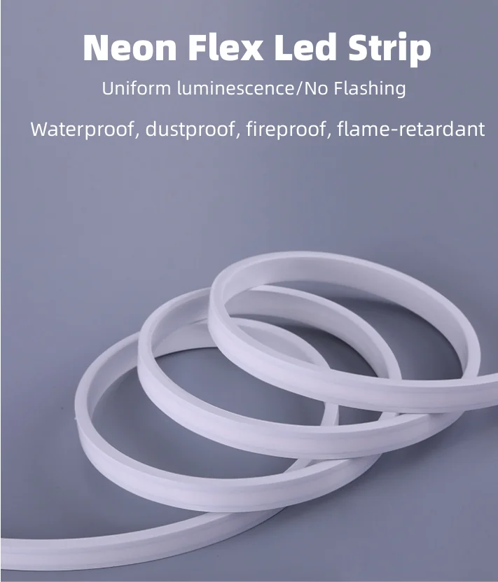 50meters 12v 24v 110v 220v Rgb Rgbic Warm White Neon Light Waterproof