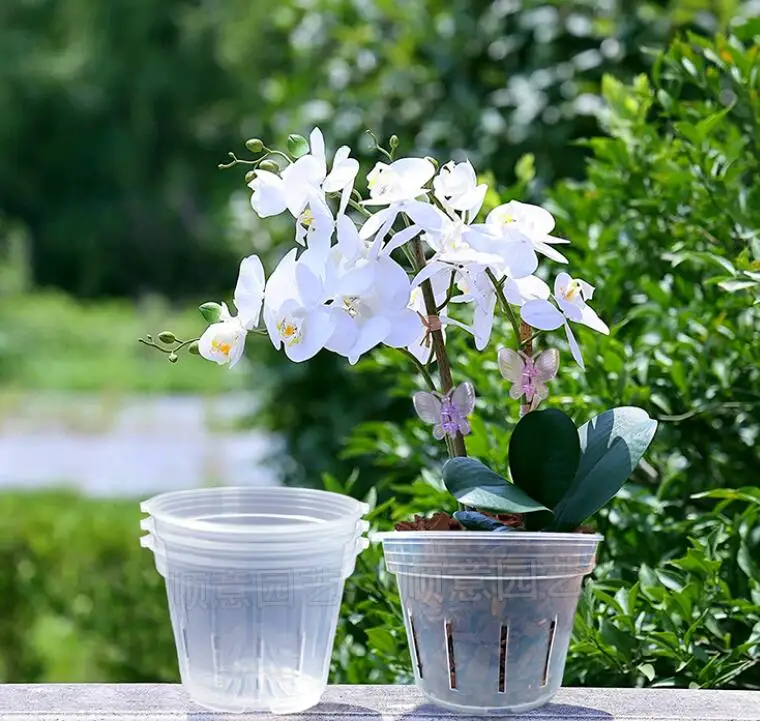 Repotme Klare Orchideentöpfe Mit Schlitzen – 3 Stück, 10,2 Cm, Durchsichtig, Für Optimale Belüftung