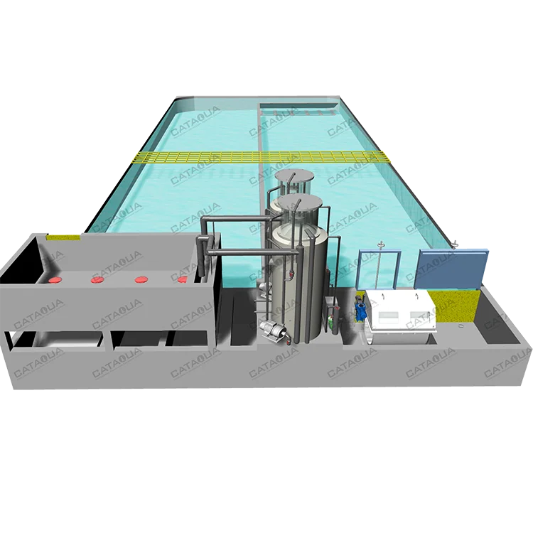 Raceway Tank RAS Recirculating Aquaculture Equipment Arowana Fish Farm Aquarium Systems