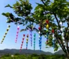 Colorido