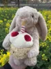 éléphant