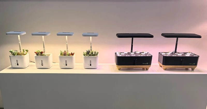 H7277e824cf0e490c9281df2cde1225e0v