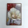 Tulipano rosso crema