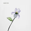 February iris-purple